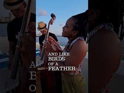 Volare by Domenico Modugno (Cover by Acute Inflections)